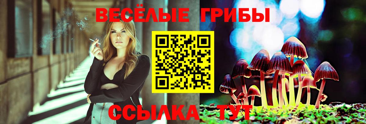 Скопин  Галлюциногенные грибы ЛСД  Галлюциногенные грибы мицелий  наркота  Вход с VPN 