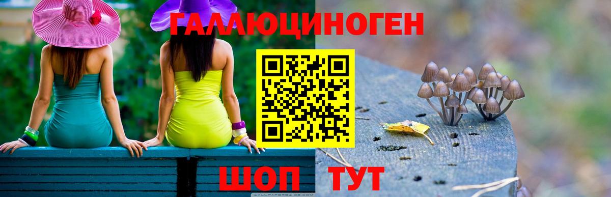 Псилоцибиновые грибы прущие грибы Скопин